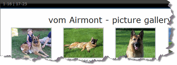 vom Airmont Picture Gallery